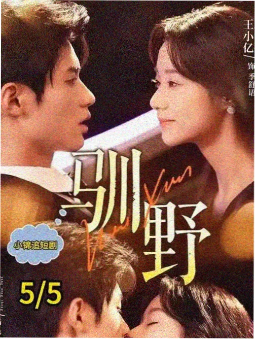 bt影视剧集雾港来信